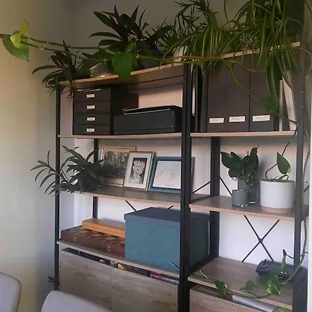 Zentrumsnah-wohnung Mit Balkon *